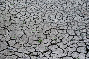 Corrector de sales y aguas